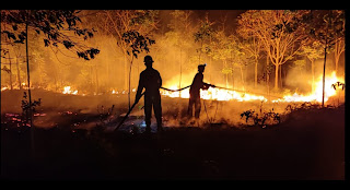 Satuan Damkar PT Timah Tbk bersama Warga Memadam Lahan yang Terbakar di Desa Teluk Radang Kundur Hangus Terbakar