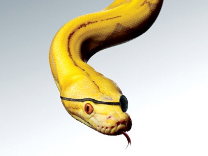 DEADLY ONE-EYED TROUSER SNAKE ESCAPES FROM ZOO