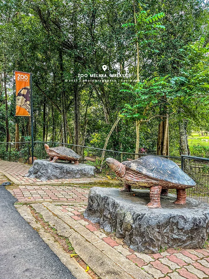 Replika Kura Kura Zoo Melaka