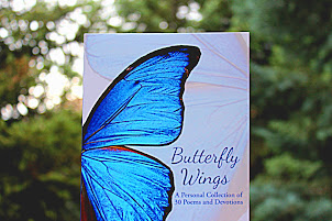 My Newest Book: Butterfly Wings