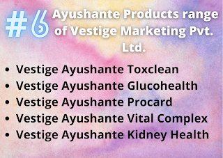 Vestige Marketing Pvt. Ltd.