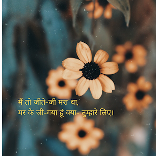#best_short_poetry_in_hindi,#hindi_poetry