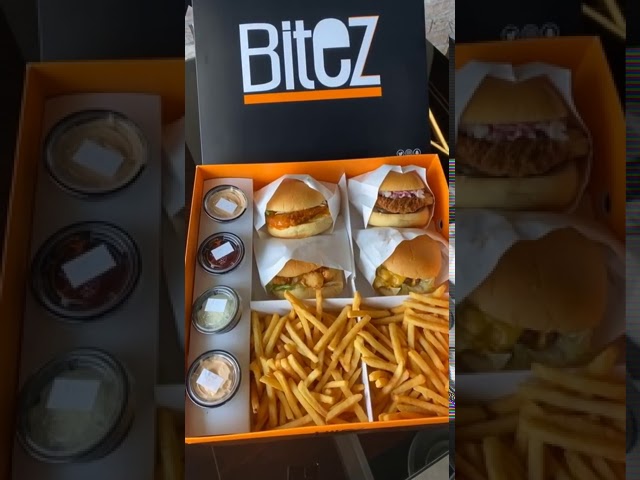 أسعار منيو و رقم فروع مطعم بايتس برجر Bites Burger مدينة نصر