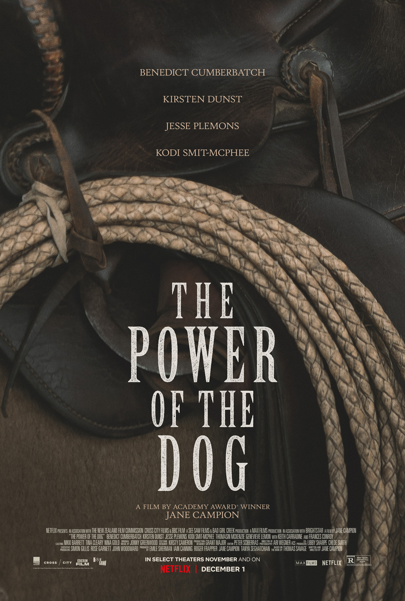 the power of the dog poster