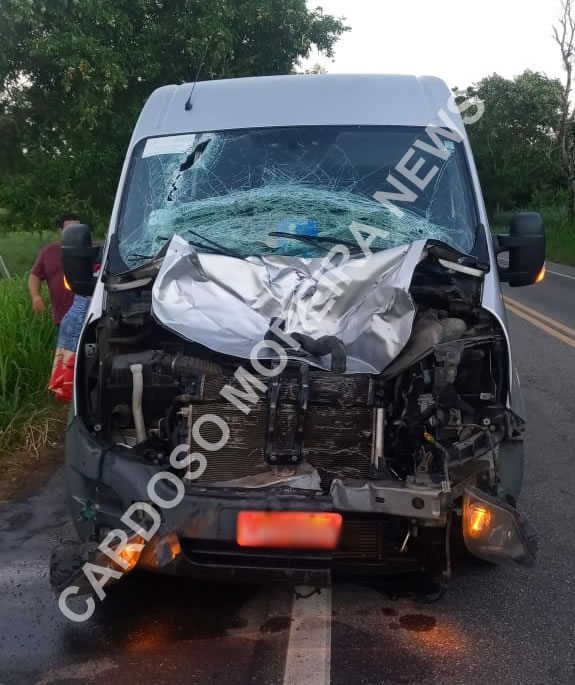 Van atropela vaca na BR-356 em Cardoso Moreira