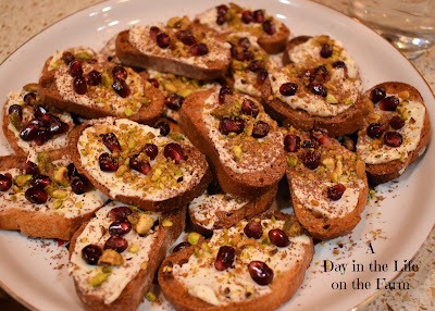 Chocolate Pomegranate Crostini