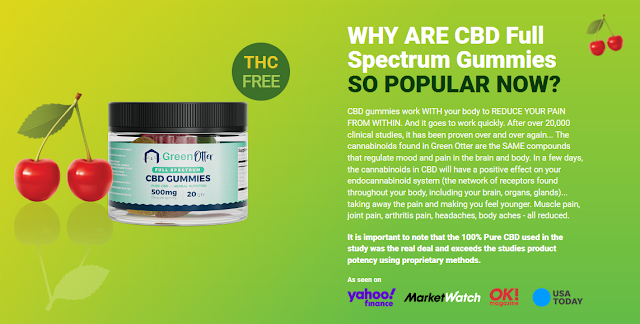 Green Otter Cbd Gummies popular