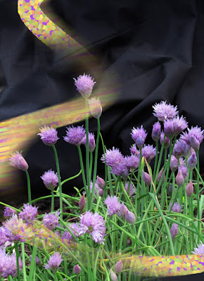 Purple flowers on yellow and black background