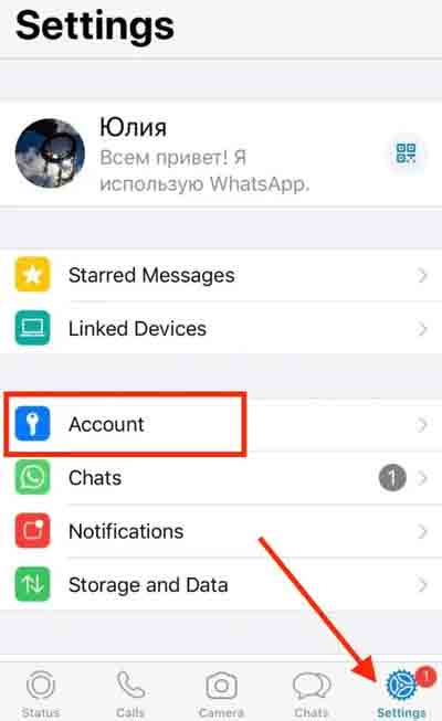 كيفية إزالة زيارات WhatsApp من iPhone