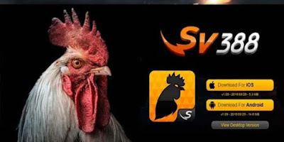 Adu Ayam Live Streaming | Agen Sv388 | Situs Daftar Sv288 | Judi Sabung Ayam Online