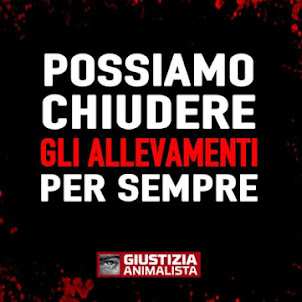 Da questo giugno si può ufficialmente firmare L'INIZIATIVA EUROPEA 'End the Slaughter Age' PER LA CH