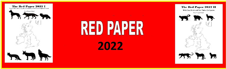 The Red Paper 2022