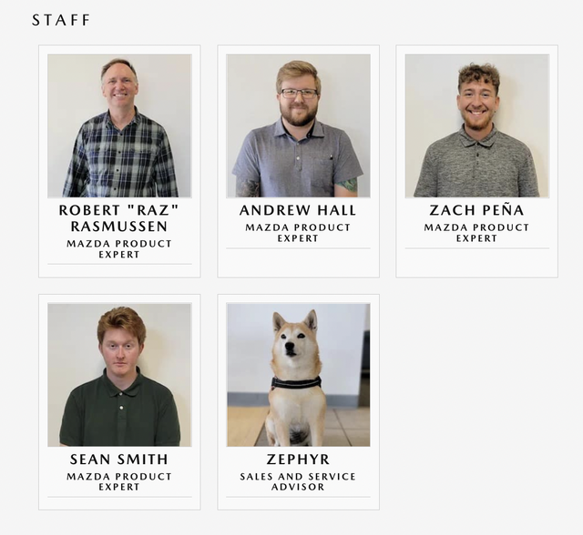 A Dog as sales and service advisor