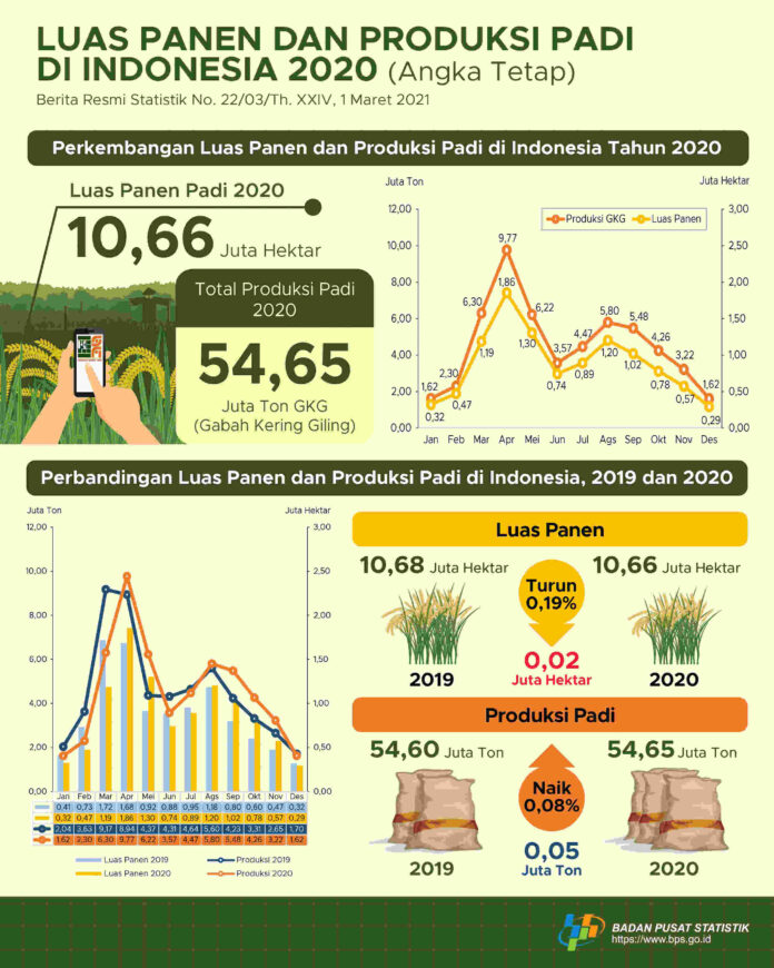 bps-padi-indonesia-2019-2020