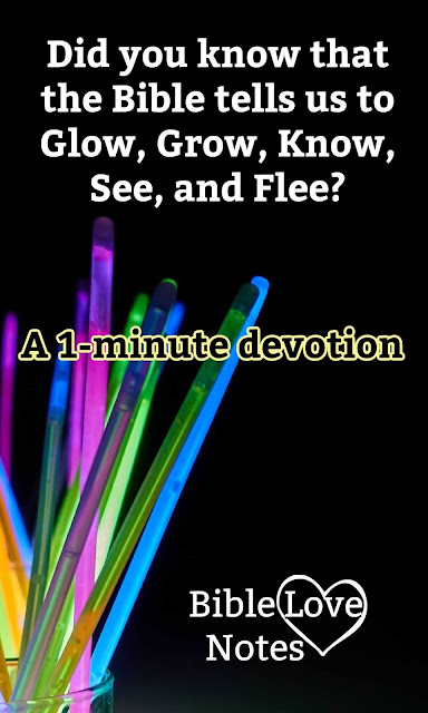 Ephesians 5 tells us to Glow, Grow, Know, See, and Flee. Find out exactly what that means in this 1-minute devotion.