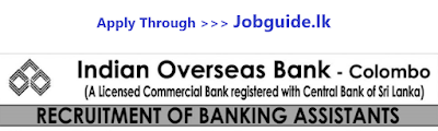 Indian Overseas bank Assistants