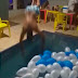 Vídeo: Homem fica tetraplégico após bater cabeça ao mergulhar em piscina