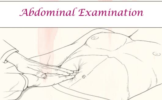 abdominal examination pdf