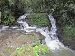 Ortigueira-PR