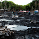 400 mil hectáreas de la Amazonia ecuatoriana Contaminadas por Derrame de petróleo crudo