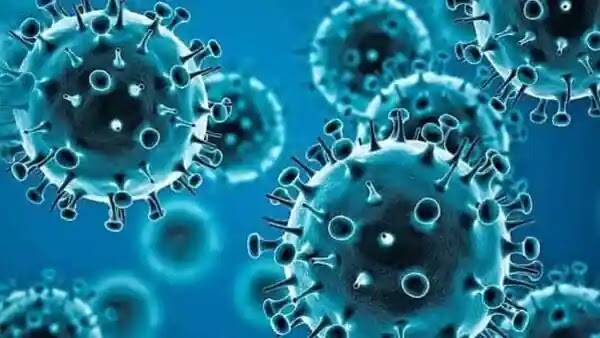 Infecção anterior por COVID pode conferir 56% de proteção contra reinfecção, diz New England Journal of Medicine