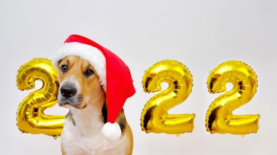 FELIZ AÑO NUEVO - FROHES NEUES JAHR  - HAPPY NEW YEAR