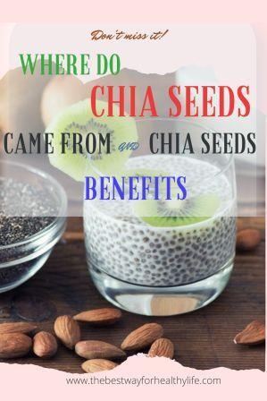 Where do Chia Seeds Come From and Chia Seeds Benefits