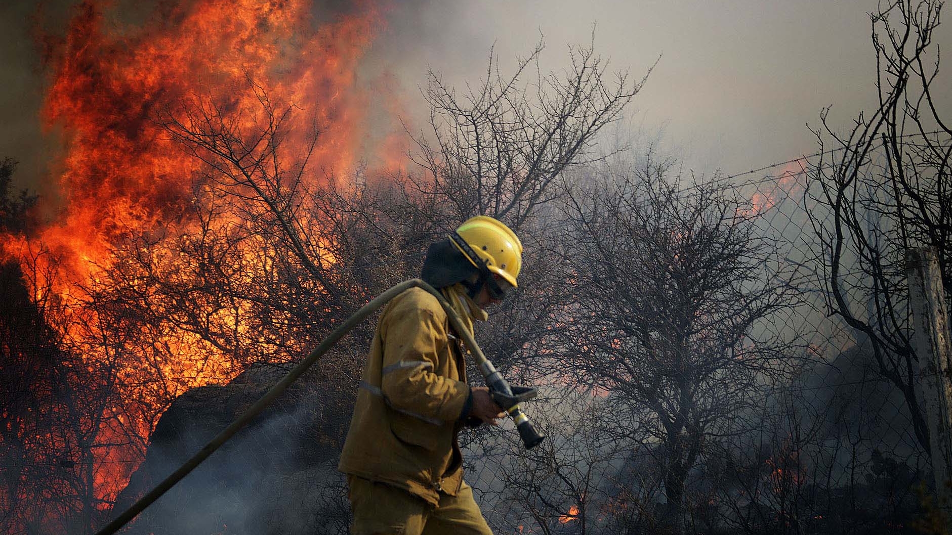 Ecocidio en Argentina: en lo que va del 2022 ya se superó la cantidad de hectáreas incendiadas registradas en 2021