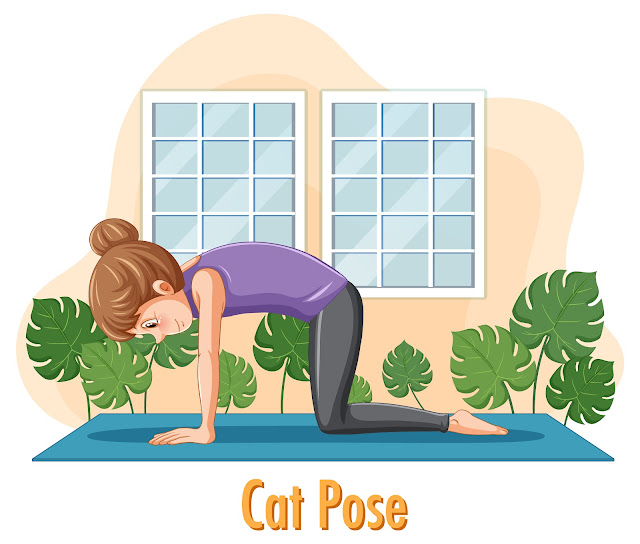 Cat/Cow Pose