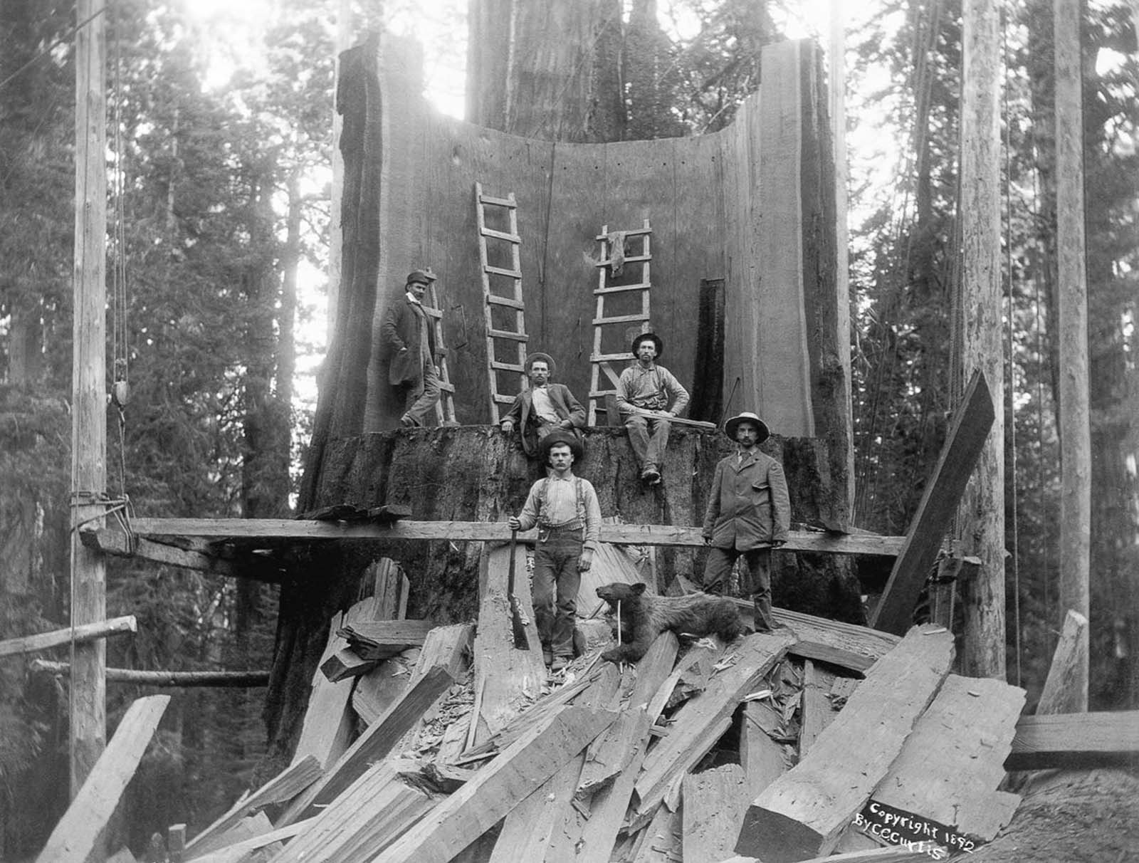 lumberjacks vintage photographs