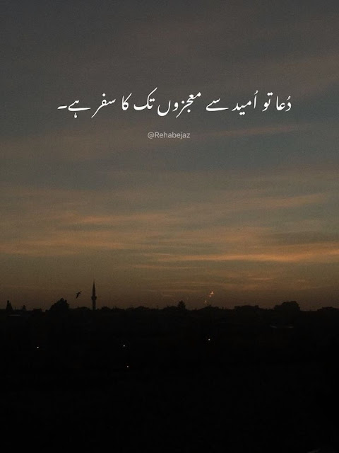 One line poetry Quotes In Urdu, One line Quotes In Urdu text, Deep one Line Quotes In Urdu, Urdu one line Quotes about life, Golden Words In Urdu one line, One line Love Poetry In Urdu, 1 line poetry In Urdu text,One Line Poetry in Urdu Attitude, One line poetry Love, One line poetry caption.