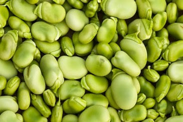 Lima Beans are Rich in Protein.
