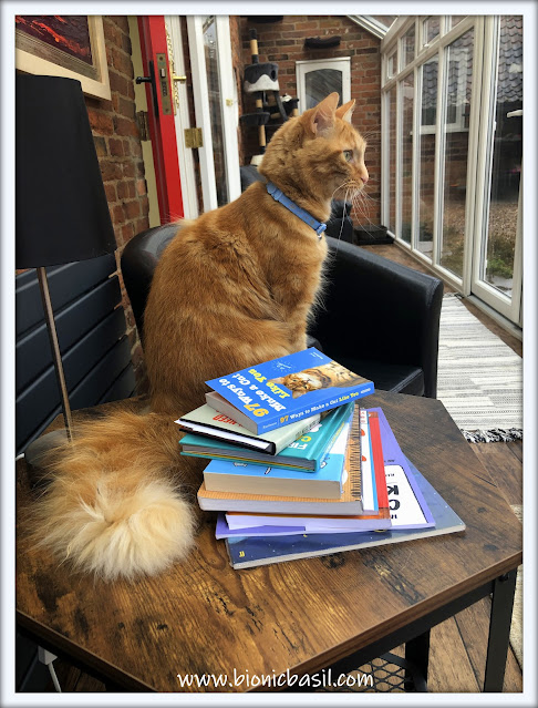 Fudge's Bookish Selfie ©BionicBasil®The Sunday Selfies Blog Hop