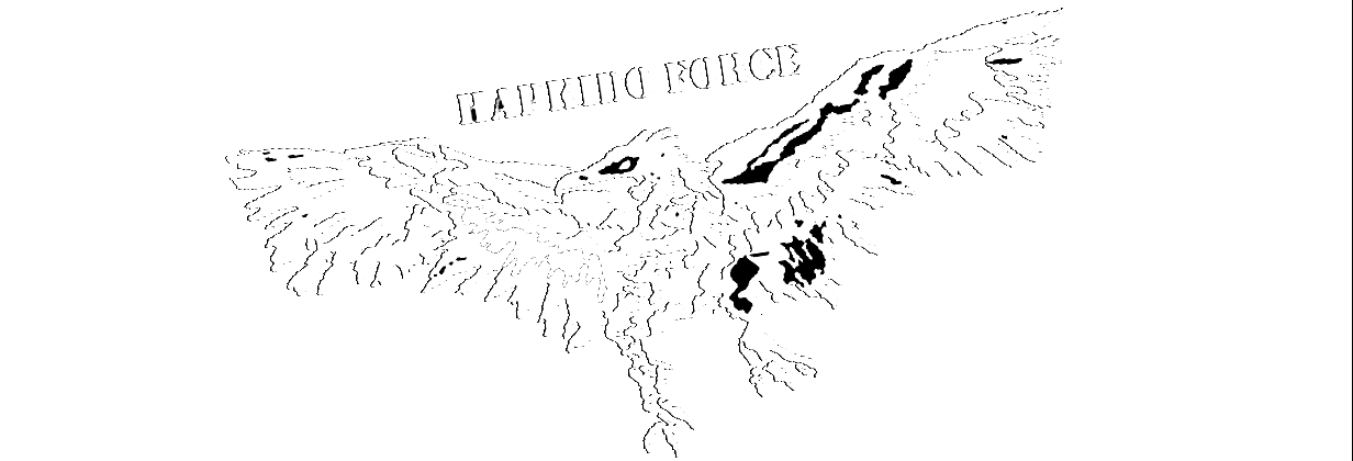 Hapkido ranger