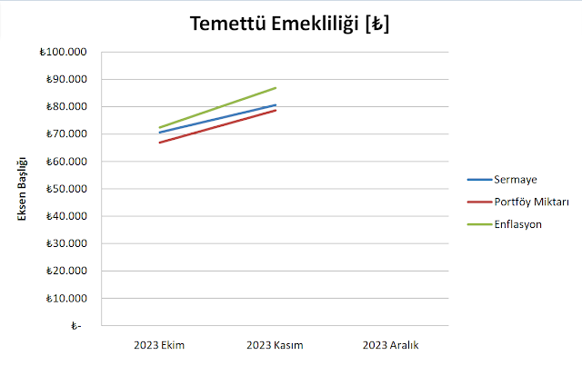 2024 Kasım Aylık Rapor- Potansiyel Yatırımcı