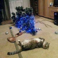 Gatos vs árboles de Navidad