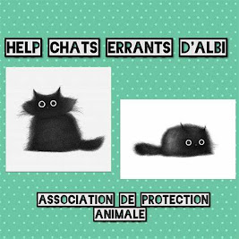 Association de Protection Animale Help Chats Errants à Albi et sur le grand Albigeois dans le Tarn