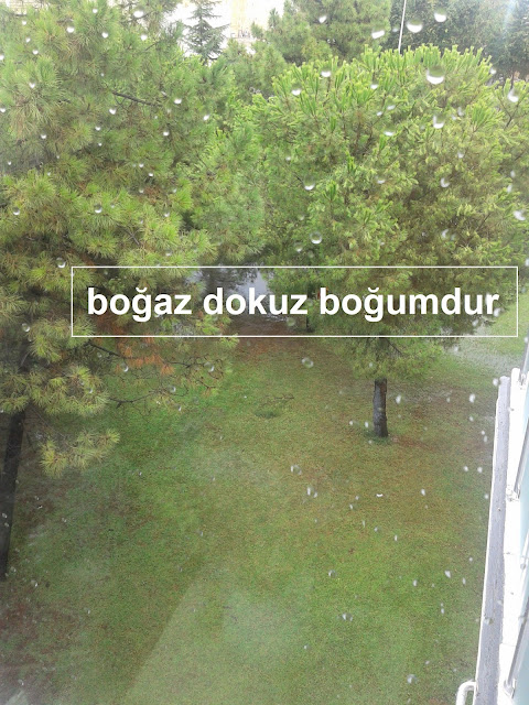 boğaz dokuz boğumdur