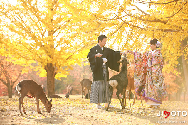 紅葉の奈良で前撮り撮影