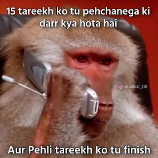 monkey-vs-dog-fight-gangwar-memes
