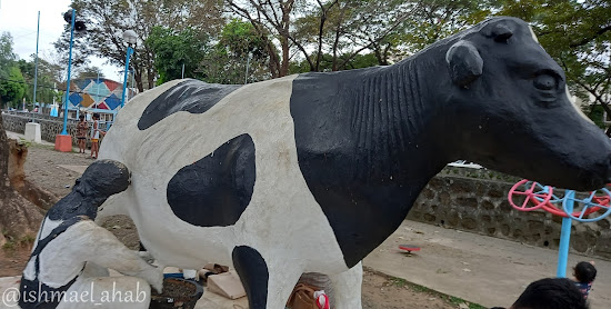 Milking the Cow of Marikina Heights