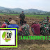 Beri Motivasi Dan Dukung Ketahanan Pangan, Babinsa Bantu Turun Ke Ladang