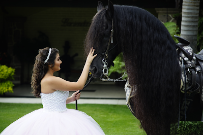 girl in white gown and a black horse
