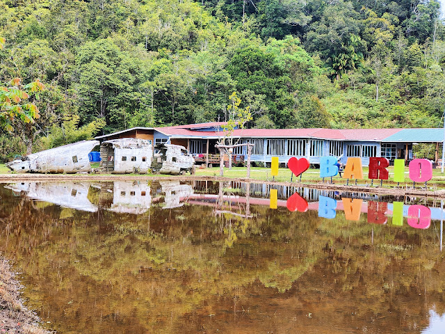 Nancy_Harriss_Homestay_Bario_Sarawak_Twin_Pioneer_Aircraft_Wreck