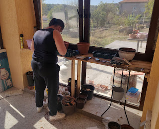 Angela cleaning and planting