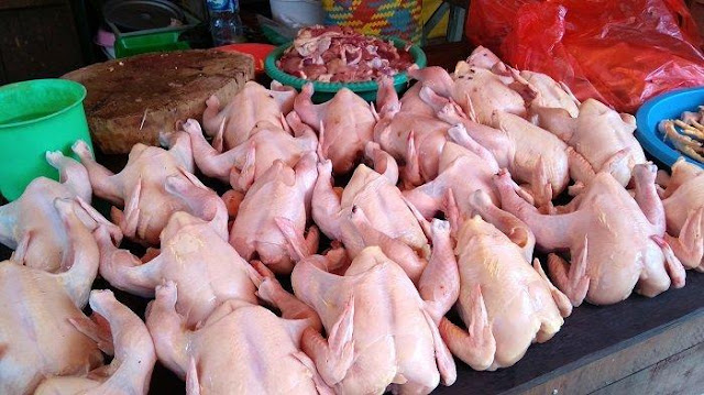 Heboh! Manusia Pemakan Daging Ayam Mentah