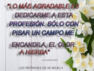 Frases de Luis Aragonés