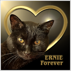 Ernie Forever