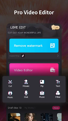 Video Editor & Maker - Love Edit