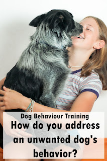 Dog Behavior Training